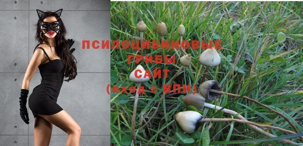 эйфоретик Вязьма